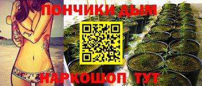 сатива Краснознаменск