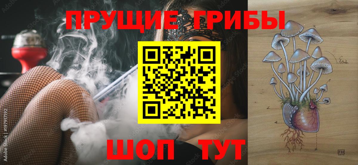 Псилоцибиновые грибы прущие грибы Дзержинск
