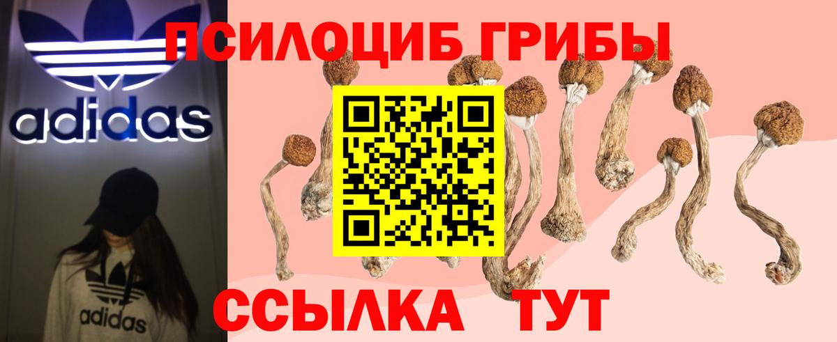 Галлюциногенные грибы Magic Shrooms  Вход с VPN  Дзержинск 